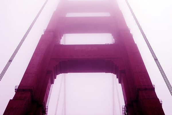 The gate